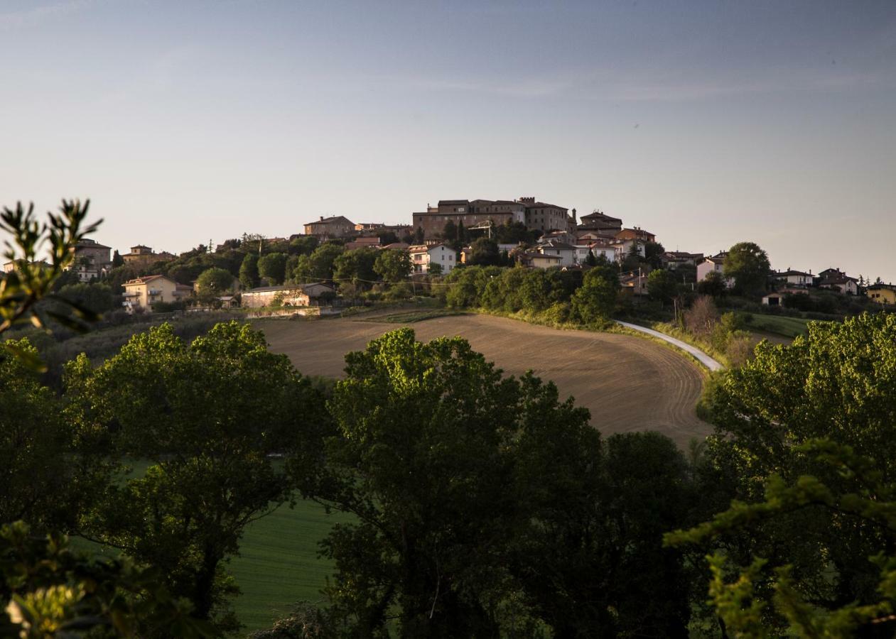 Grande Villa Storica Per Vacanze Con Giardino Privato E Piscina Ostra Zewnętrze zdjęcie