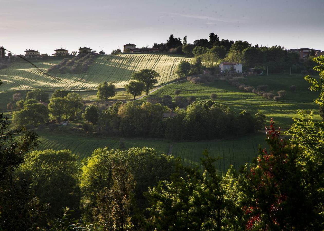 Grande Villa Storica Per Vacanze Con Giardino Privato E Piscina Ostra Zewnętrze zdjęcie