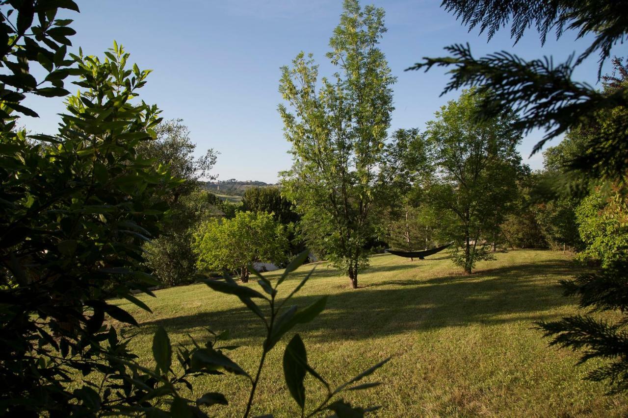 Grande Villa Storica Per Vacanze Con Giardino Privato E Piscina Ostra Zewnętrze zdjęcie