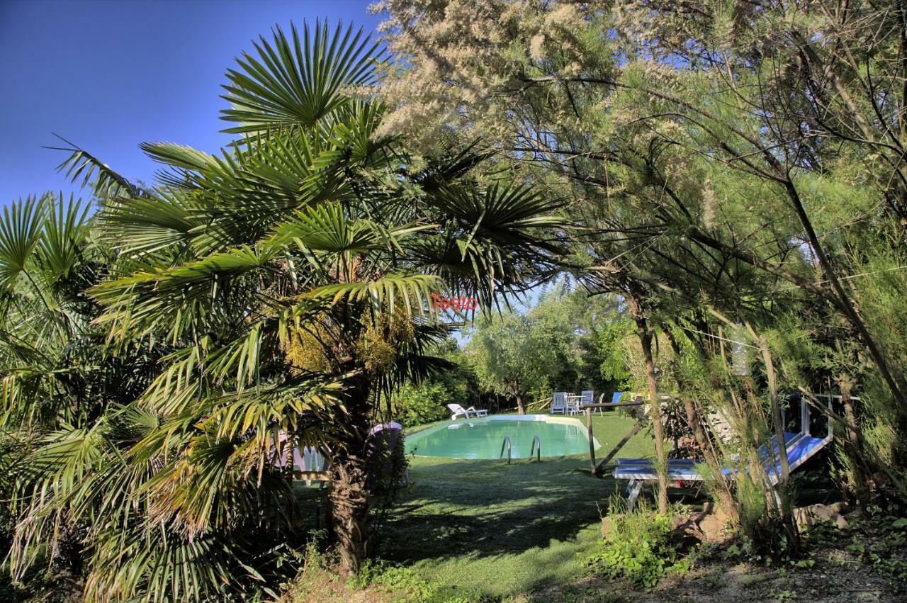 Grande Villa Storica Per Vacanze Con Giardino Privato E Piscina Ostra Zewnętrze zdjęcie
