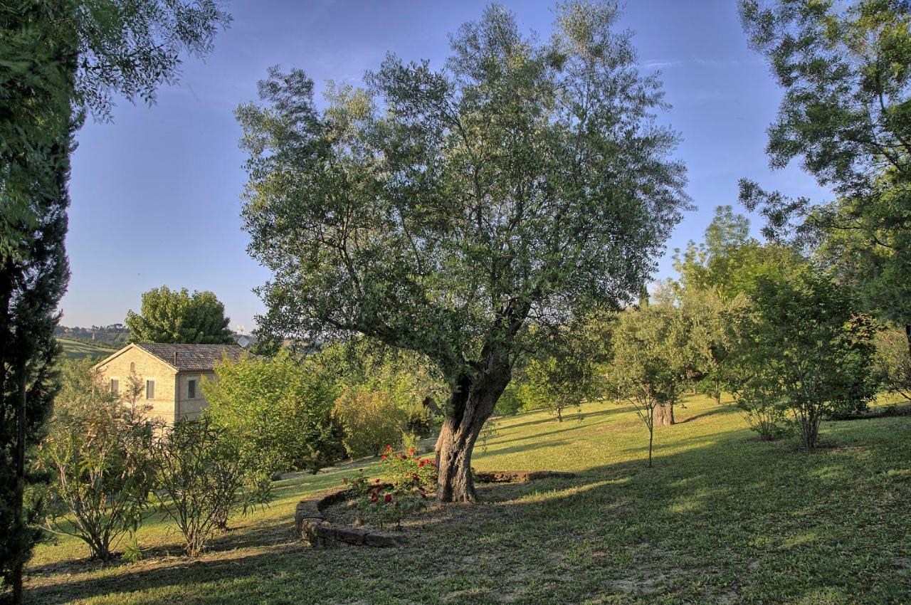 Grande Villa Storica Per Vacanze Con Giardino Privato E Piscina Ostra Zewnętrze zdjęcie