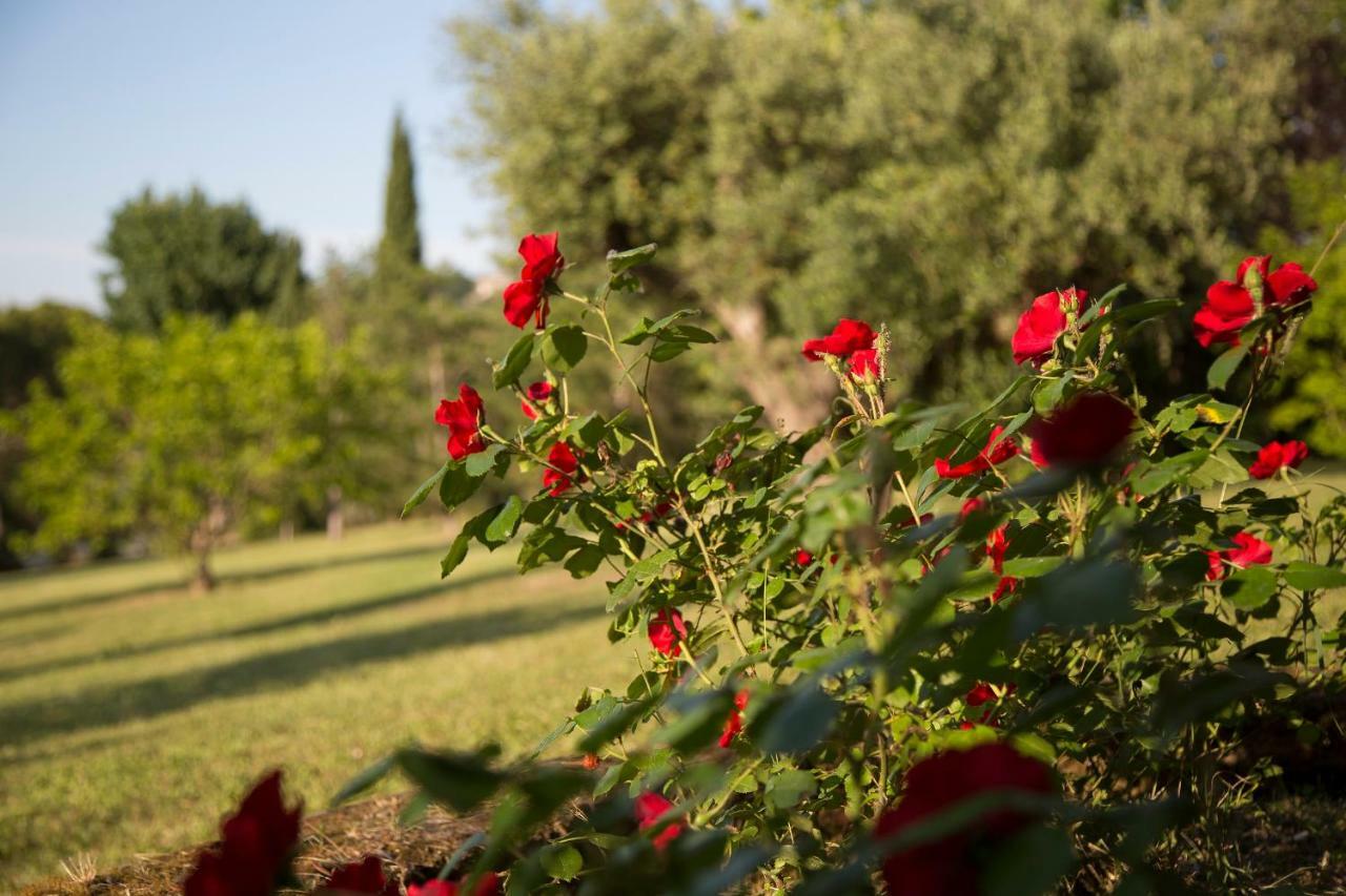 Grande Villa Storica Per Vacanze Con Giardino Privato E Piscina Ostra Zewnętrze zdjęcie